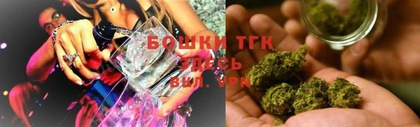 ECSTASY Алзамай