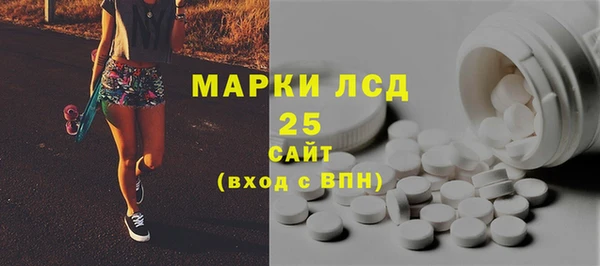 ECSTASY Алзамай