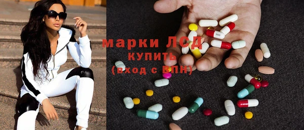 ECSTASY Алзамай