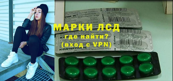 ECSTASY Алзамай